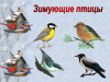 Птицы.jpg