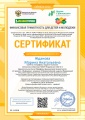 Сертификат Жданова Инфоурок 2.jpg