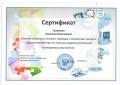 Сумакова Н. Н. сертификат 2.jpg