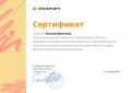Сертификат Skysmart 2020.jpg