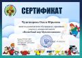 Сертификат руководителя Чудотворова page-0001.jpg